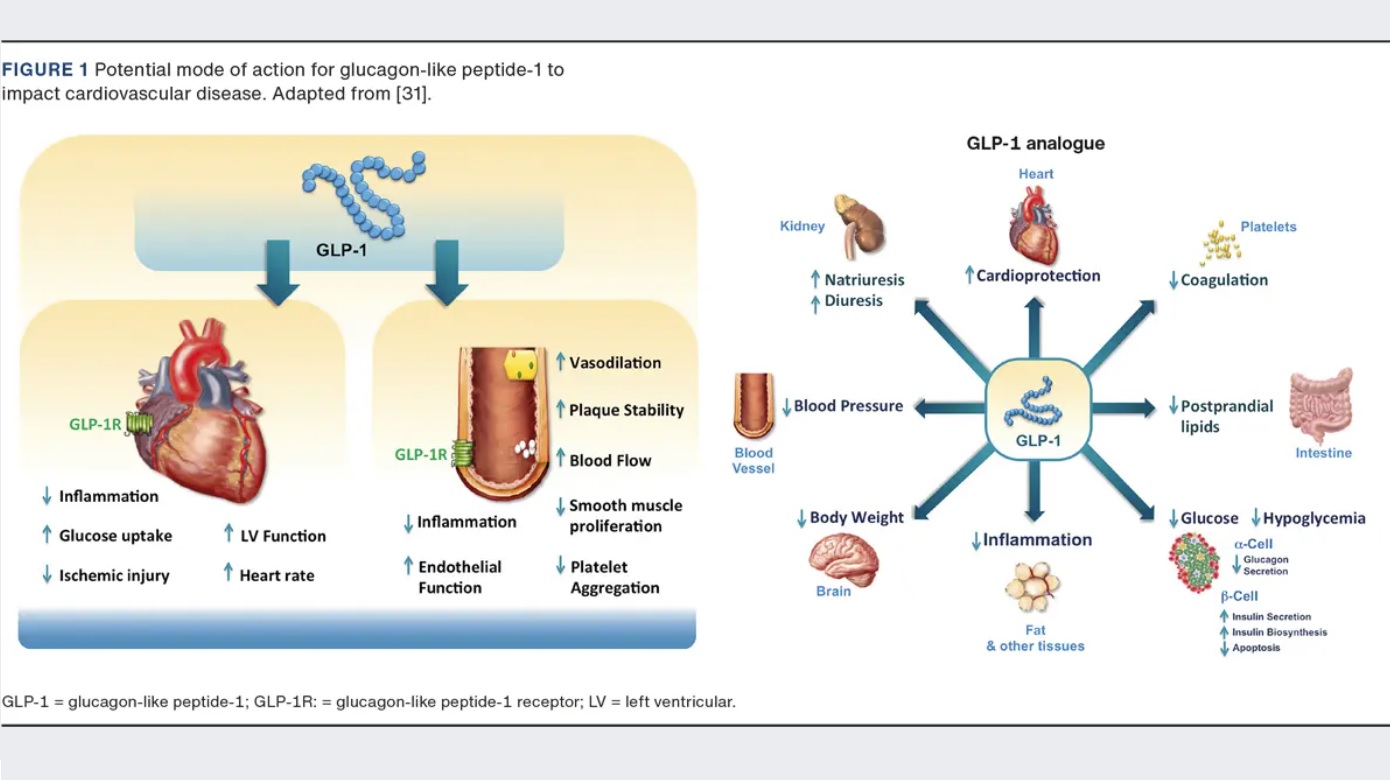 Incretin-based therapy of metabolic disease | Ugeskriftet.dk