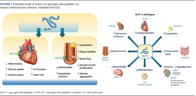 glp 1 agonists alzheimer's Frontiers