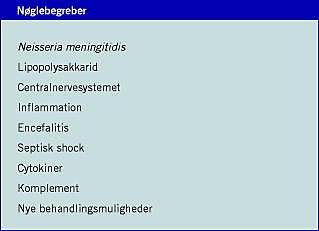 Neisseria meningitidis Infektion