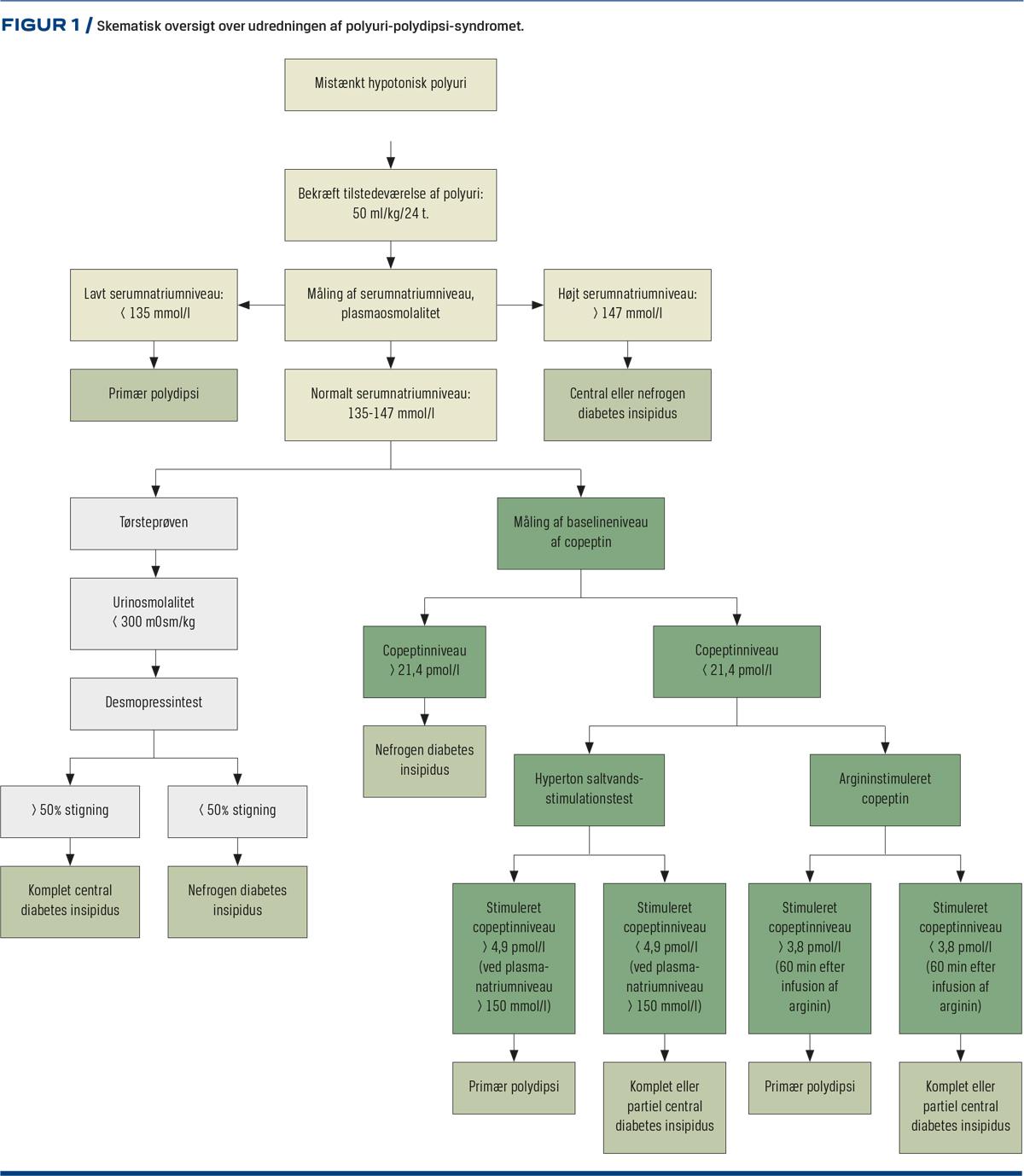 Diagnostik Diabetes Insipidus